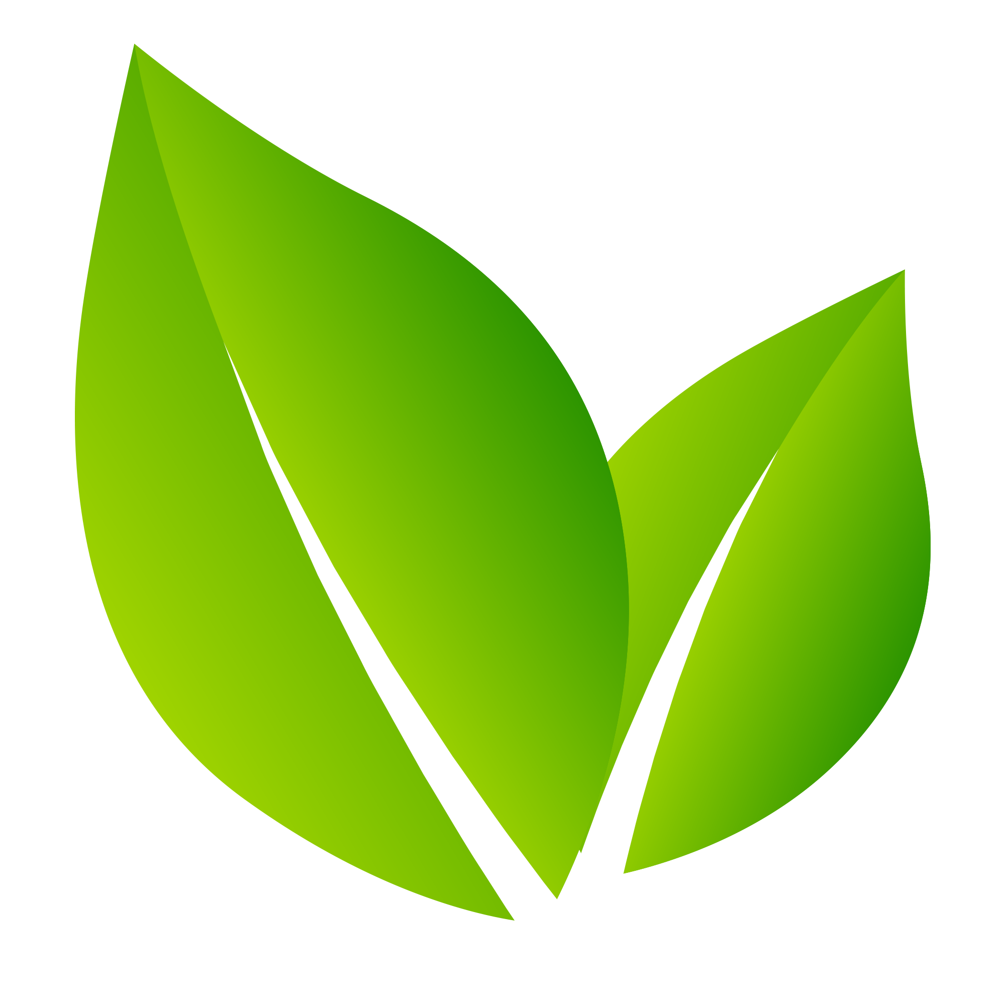 Licenças Ambientais